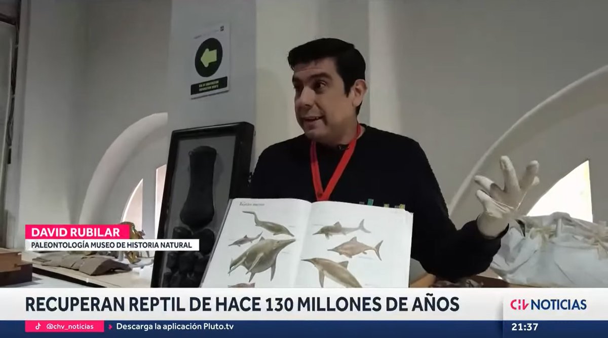 Tal vez se enteraron de que se encontró un ictiosaurio, incluso con embriones en su interior 😲
Pues bien, @CHVNoticias vino al MNHN y conversó con David Rubilar, quien habló sobre estos seres que dominaron los mares hace millones de años.
Acá lo ven 👉🏻 youtu.be/VOJc8naP6WA