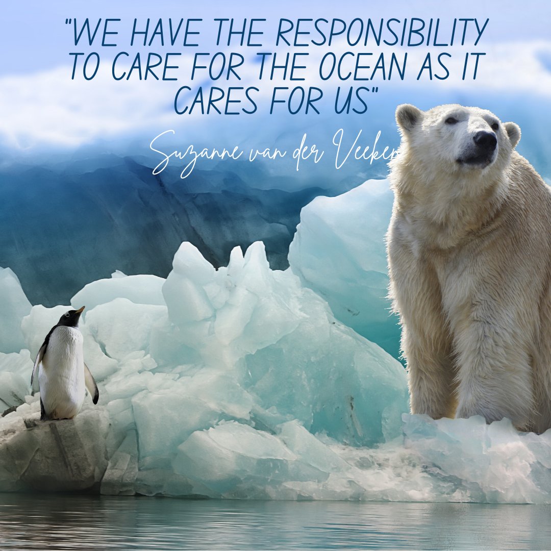 TheSaltyHands's tweet photo. #OceanQuote #ThursdayVibes https://t.co/0QmDOZaqtn