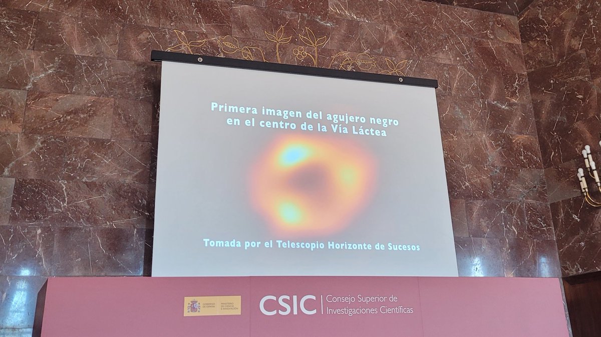 Rebecca Azulay tweet media