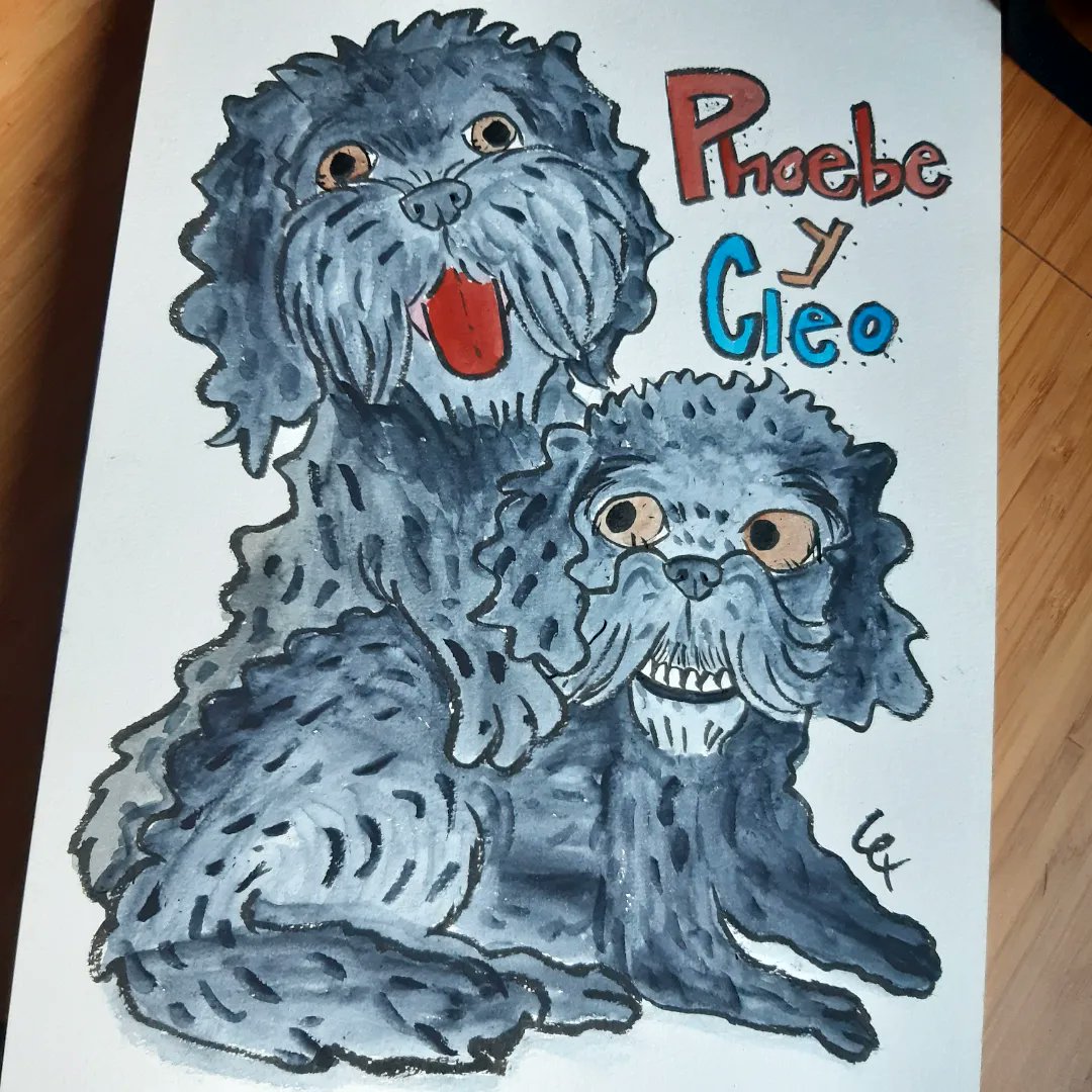 PelsPlomEscames's tweet photo. the drawing of these two amazing models #cleo and #phoebe is in their house! 

thank you for this comission, i enjoyed so much doing it!!! https://t.co/o4E3FTLLPv