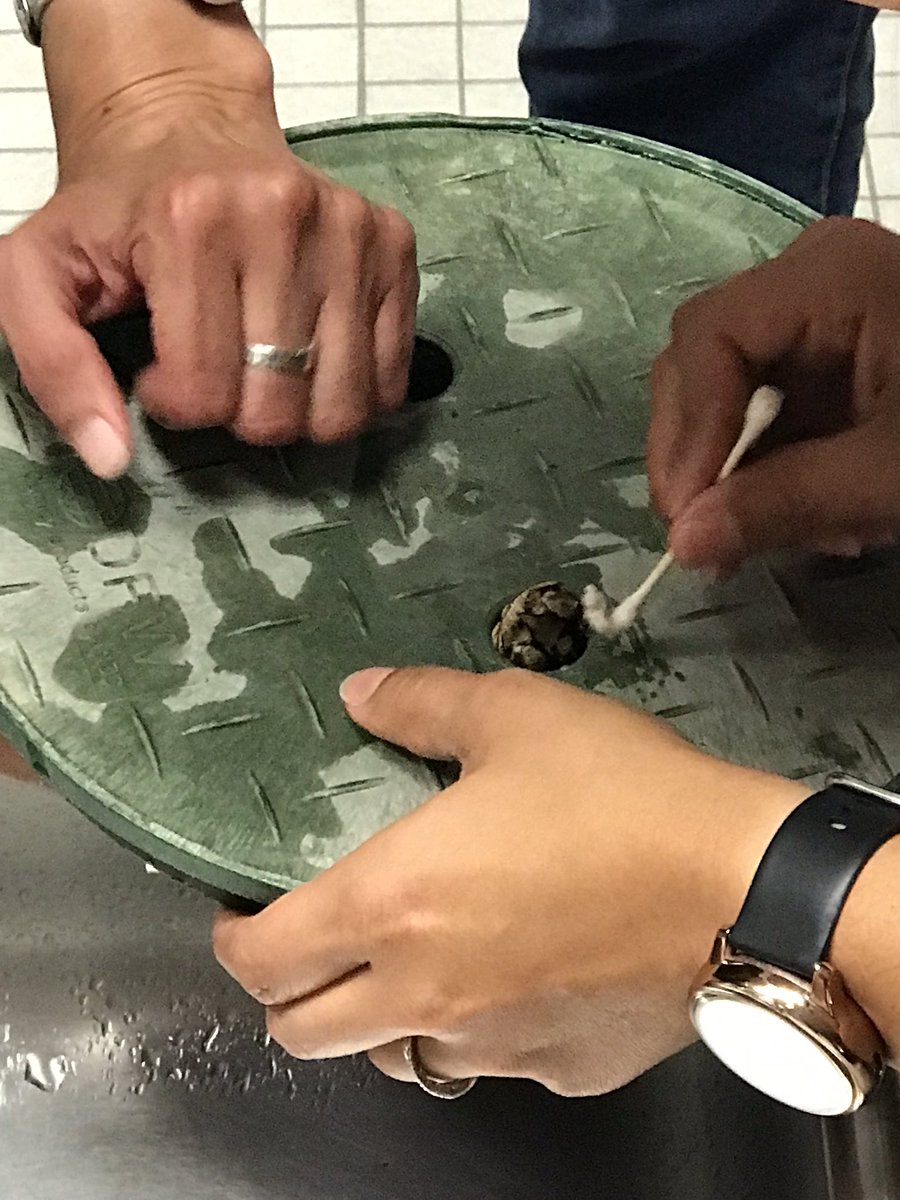 ♥ 𝙰𝚖𝚊𝚗𝚍𝚊 𝙿𝚘𝚜𝚝𝚎𝚛𝚒𝚌𝚔 ♥ tweet media