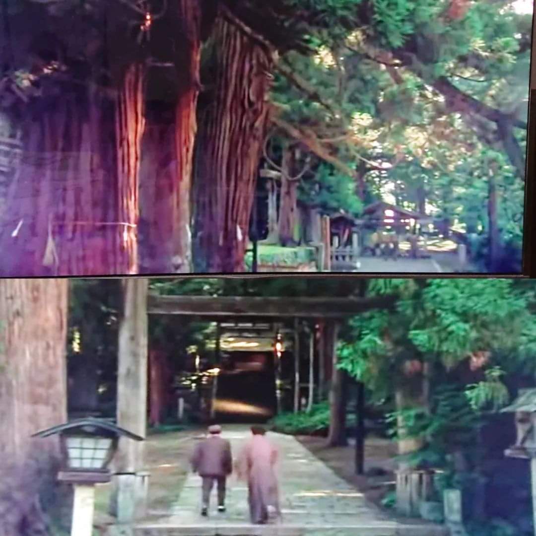 犬神家の一族 ロケ地/撮影秘話 最新情報まとめ｜みんなの評判や口コミが見れる、ナウティスモーション（6ページ目）