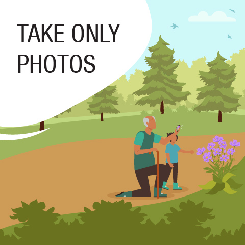CataraquiCA's tweet photo. Wildflowers, mushrooms, wood, &amp; moss are some of the cool things you can find Conservation Areas here in Ontario. And they’re meant to stay there. Leave natural and cultural objects undisturbed for others to appreciate.
#ForTheLoveOfParks &amp; Conservation Areas https://t.co/4iDakxqoib