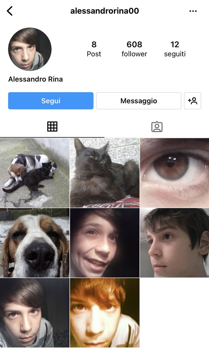 sasiyulu's tweet photo. ma malinconia quando saprà di questo profilo non si farà più vedere??? #amici21 https://t.co/oAfFGeUpXb