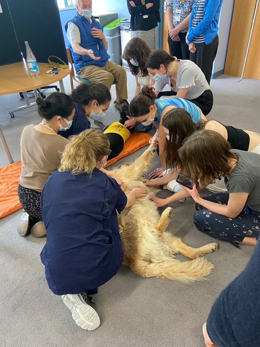 The Library & Knowledge Services Team π (@gloshosplib) on Twitter photo What a fabulous lunchtime in the library AT GRH! We loved our visit from <a href="/GismoPATdog/">GismoPATdogπ πΊπ¦</a> and friends. Lovely to see so many happy <a href="/gloshospitals/">Gloucestershire Hospitals NHS Foundation Trust</a> staff #HappyThursday What a fabulous lunchtime in the library AT GRH! We loved our visit from <a href="/GismoPATdog/">GismoPATdogπ πΊπ¦</a> and friends. Lovely to see so many happy <a href="/gloshospitals/">Gloucestershire Hospitals NHS Foundation Trust</a> staff #HappyThursday
