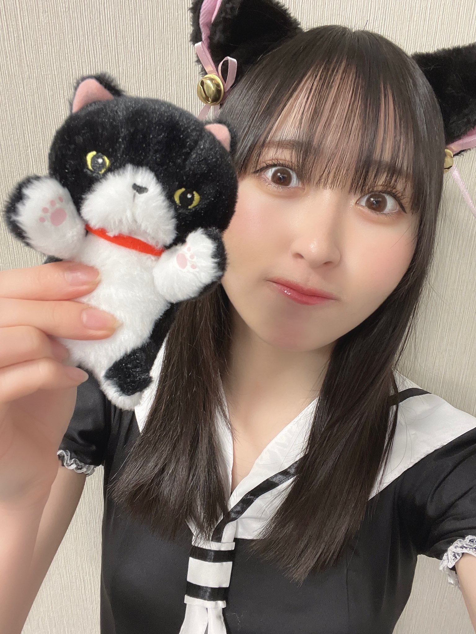 ノイミー　川中子奈月心 ぶらさがるなつみんのねこ 商品詳細ページ | ≠ME OFFICIAL SHOP | 川中子 奈月心