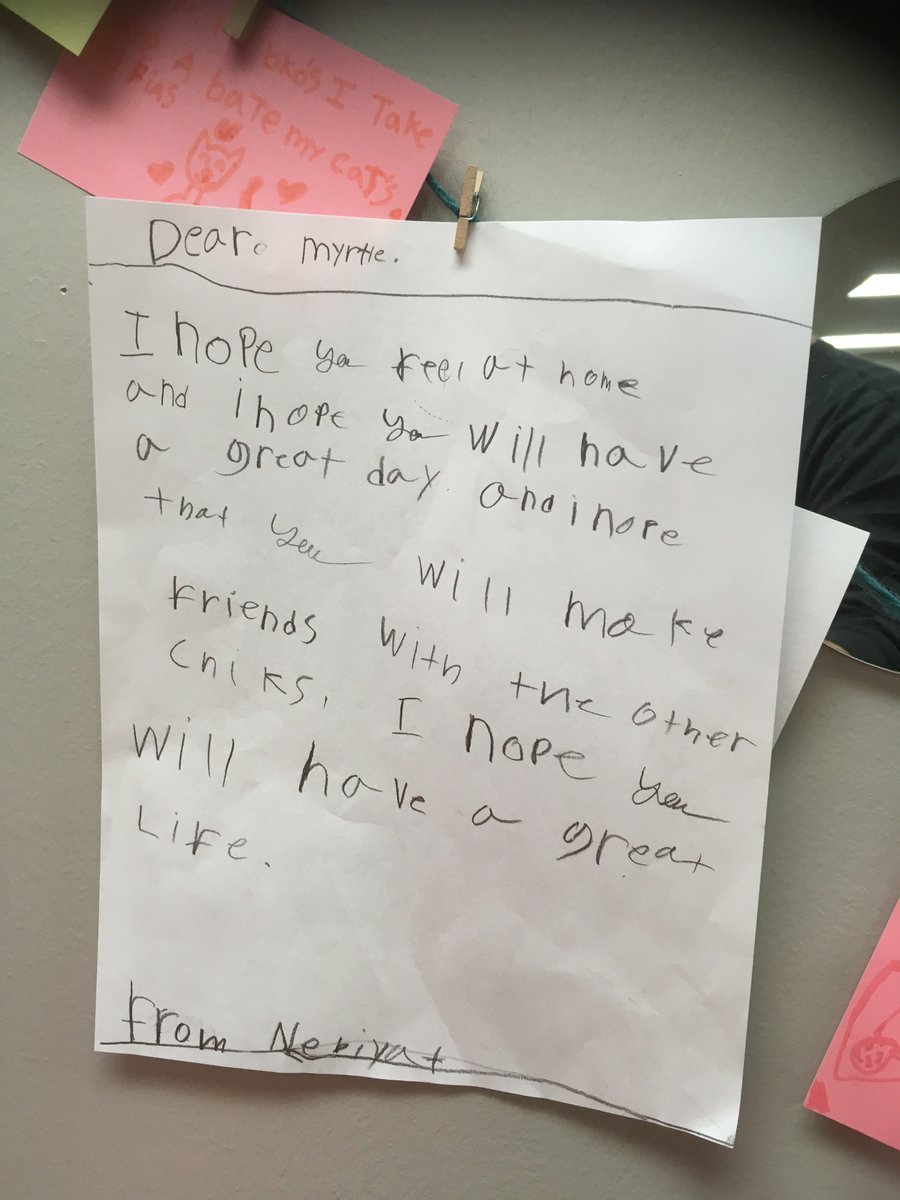 MrShepherdIKE's tweet photo. Letters from students to "the girls"!  #librarychickens https://t.co/QnV0n5MPOL