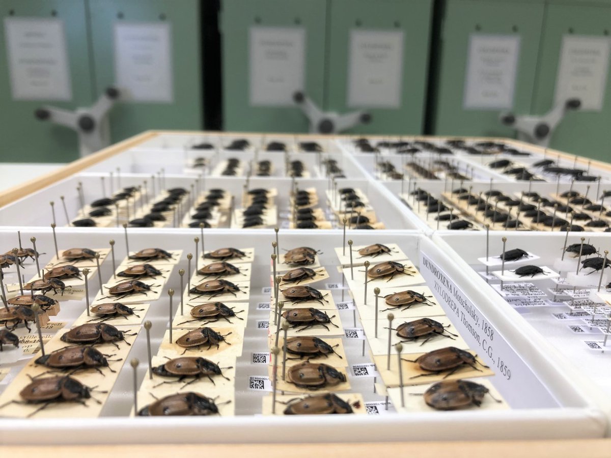 Natural Sciences NMS tweet media