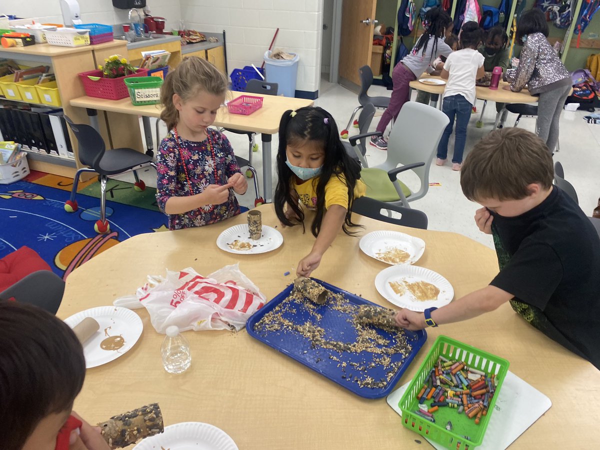 Hollin Meadows Garden tweet media