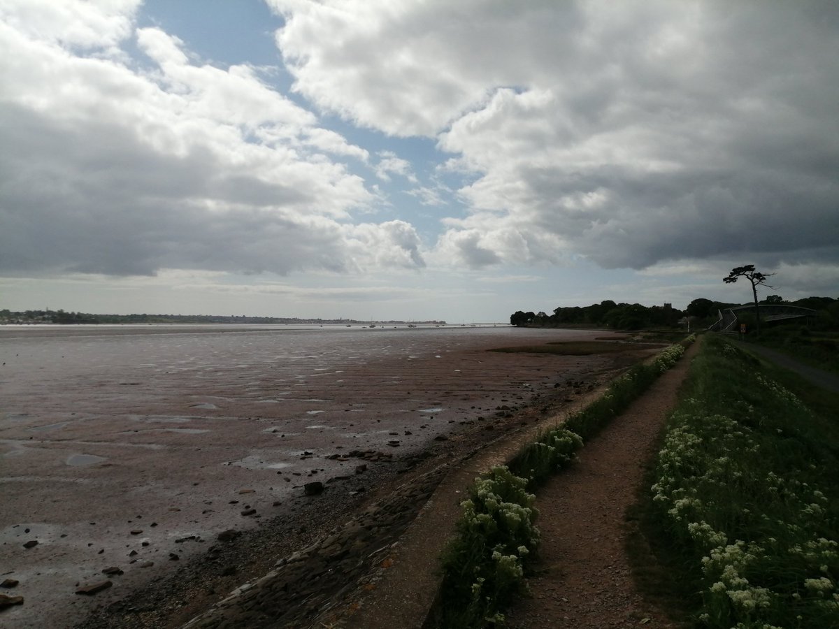 PascaleExeter's tweet photo. I escaped from REF and went for a #ReadingWalk, clutching my copy of @SolgaKim's Space book. Great to walk while reading excellent thoughts about walking...

(signets for @HarryMcCarthy and @_drsang) https://t.co/tYKhQB5M8W