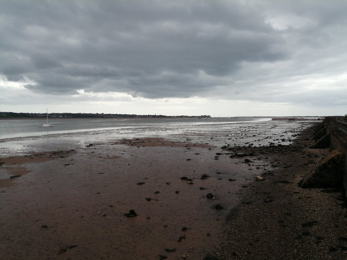 PascaleExeter's tweet photo. I escaped from REF and went for a #ReadingWalk, clutching my copy of @SolgaKim's Space book. Great to walk while reading excellent thoughts about walking...

(signets for @HarryMcCarthy and @_drsang) https://t.co/tYKhQB5M8W