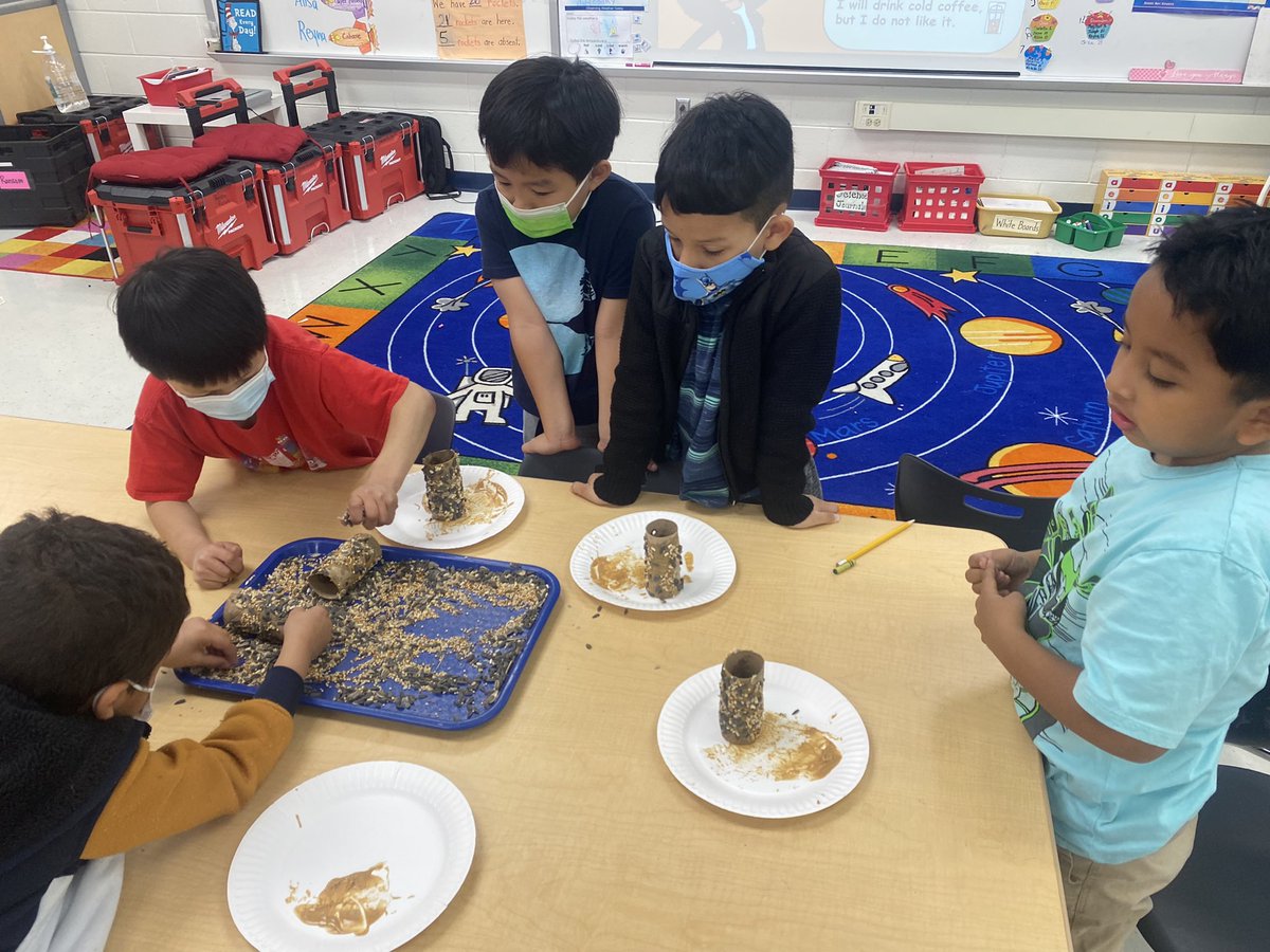 Hollin Meadows Garden tweet media