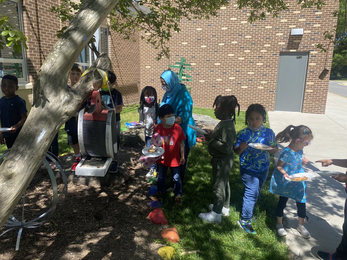 Hollin Meadows Garden tweet media