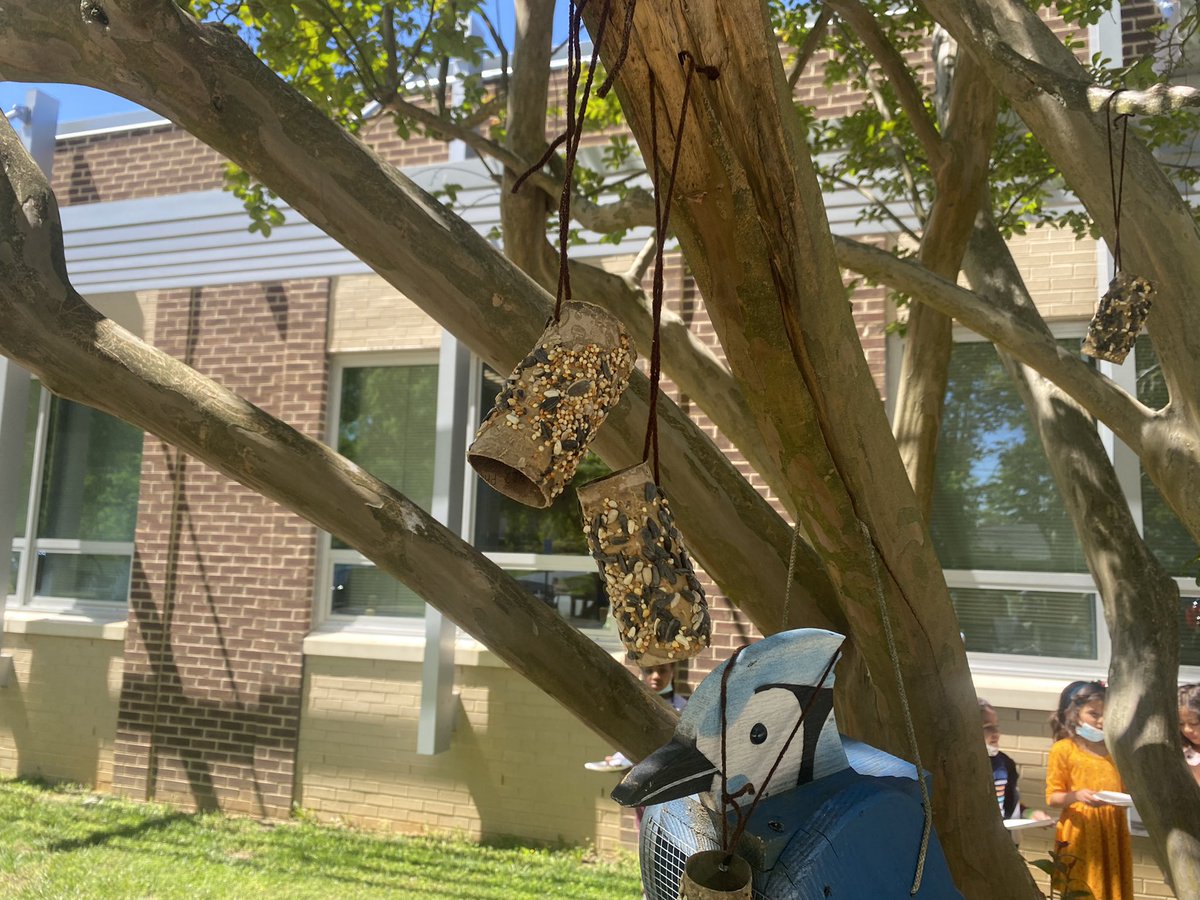 Hollin Meadows Garden (@hmesoutdoored) on Twitter photo Made bird feeders with <a href="/RansomRockets/">Ransom Rockets</a> this week! Their excitement and enthusiasm is a highlight of my week! <a href="/PTAHMES/">Hollin Meadows ES PTA</a> <a href="/HollinMeadowsES/">Hollin Meadows</a> <a href="/HmesPartnership/">Hollin Meadows Partnership for Outdoor Education</a> Made bird feeders with <a href="/RansomRockets/">Ransom Rockets</a> this week! Their excitement and enthusiasm is a highlight of my week! <a href="/PTAHMES/">Hollin Meadows ES PTA</a> <a href="/HollinMeadowsES/">Hollin Meadows</a> <a href="/HmesPartnership/">Hollin Meadows Partnership for Outdoor Education</a>