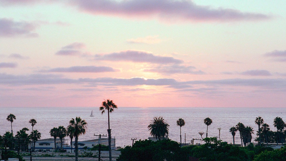 nev_in_color's tweet photo. SoCal on 35mm 🎞 https://t.co/OBQy4oV9Vl