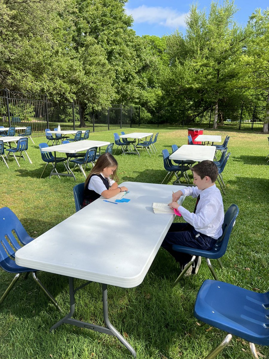 michele mclendon tweet media