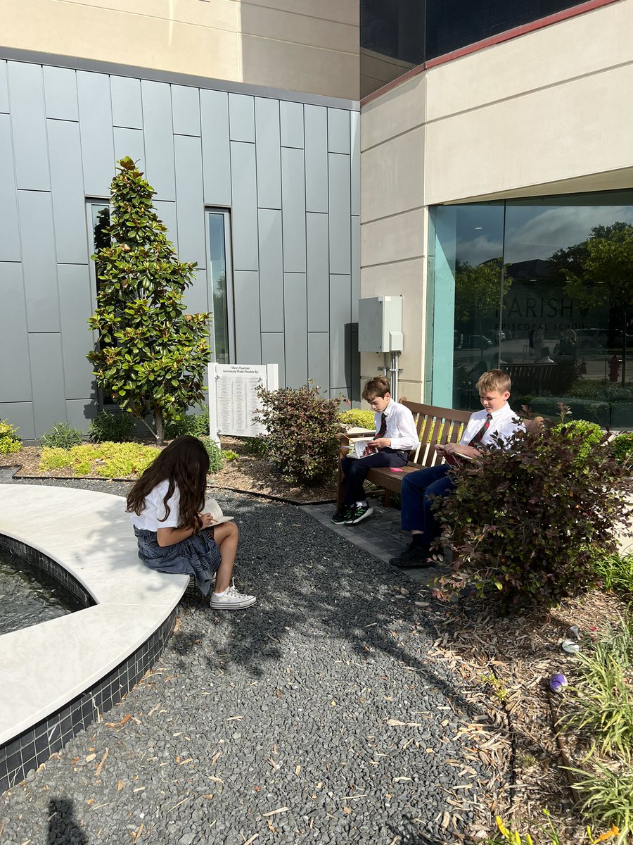 michele mclendon tweet media