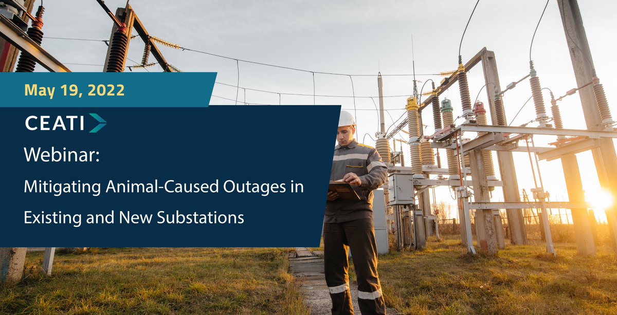 Animal-caused outages in substations is a major challenge faced by utilities. Such outages have a huge financial and social-political implications to the utility and their customers. Join us next week for this exciting session. Contact: ceati.com/contact-us
#substation
