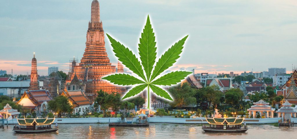 theleafystreet's tweet photo. #Thailand: Public health minister to give away 1 million #cannabis plants to citizens
https://t.co/UKraqgCl8B https://t.co/R2F0VENUHG