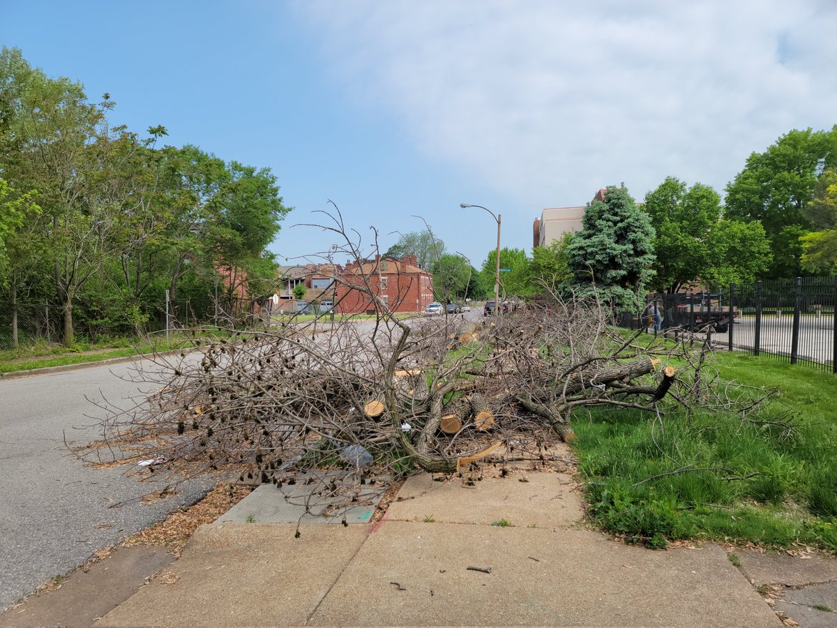 Hi <a href="/stlcsb/">Citizens' Svc Bureau</a>, the City ash tree removal contractor cut down trees on 2400 block of N 13th just south of Benton and at 1308 Warren a couple weeks ago, but never came to pick up the debris. Can we get this taken care of. It's blocking the street and sidewalk.