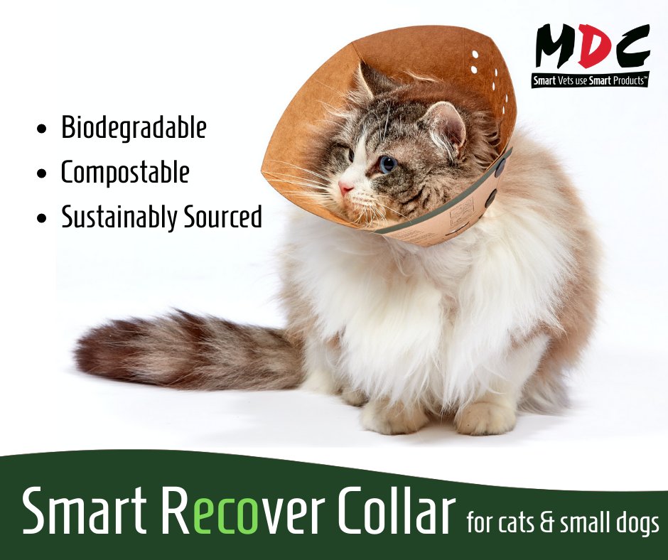 It's official! 
The three major vet wholesalers are now all listing our new 'eco' collar! For a Greener Veterinary Practice, contact NVS, Covetrus (was Henry Schein) or MWI Animal Health (was Centaur) to place your order. 
#vetsustain #GreenTeamVet