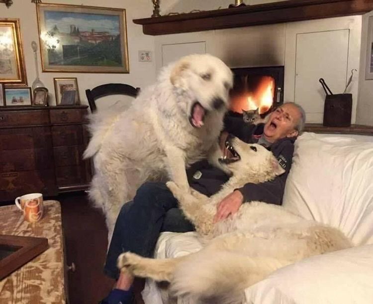 19teennine's tweet image. ทุกคนตอนนี้ #กลรักรุ่นพี่