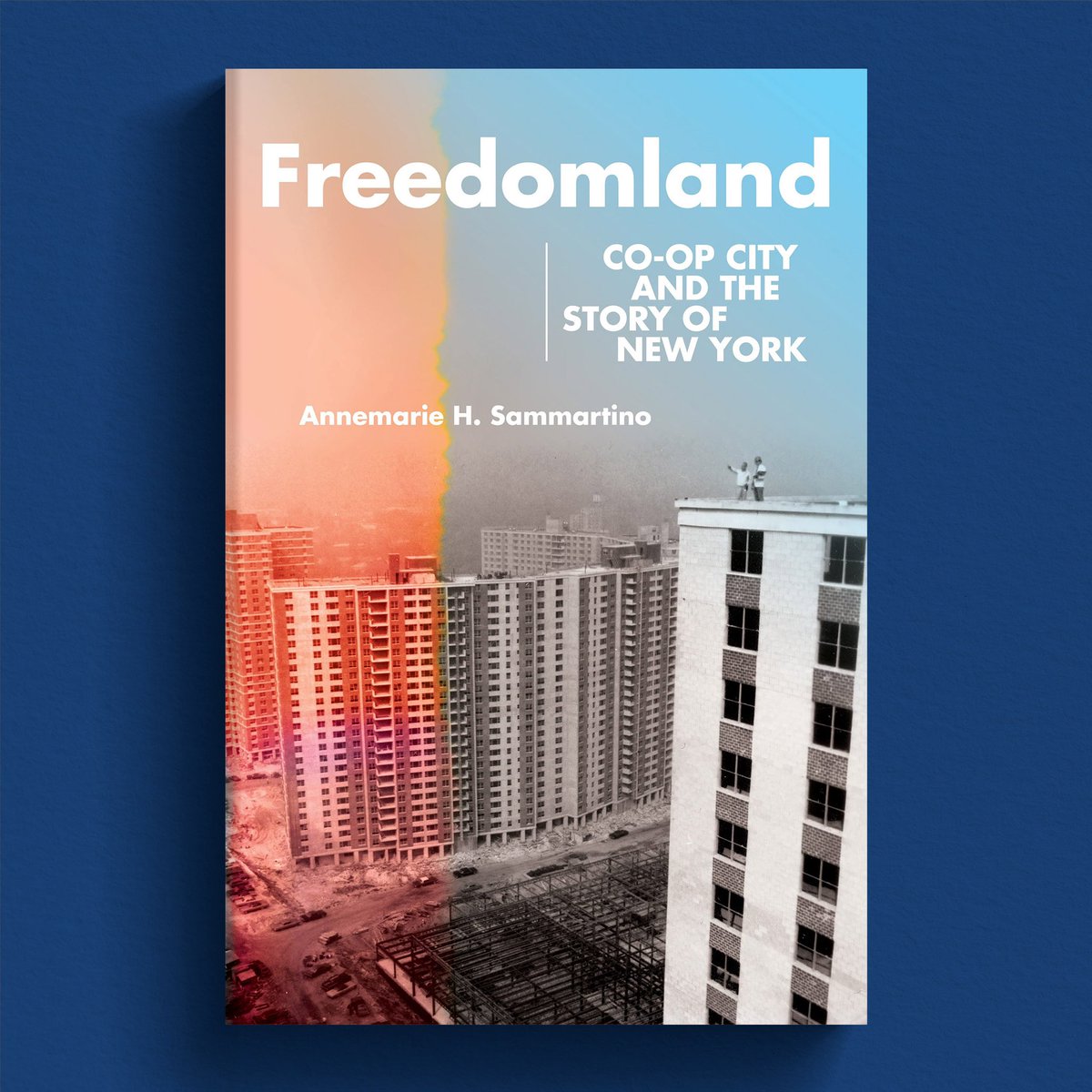 hsyee's tweet photo. FREEDOMLAND: Co-op City and the Story of New York by Annemarie H. Sammartino / @CornellPress
-
Design: #HenrySeneYee;
AD: Scott Levine
-
https://t.co/S54ffOJrMt
-
#freedomland #coopcity #bookcover #bookcoverdesign #bookjacket #thebronx https://t.co/deEF5JwLrY