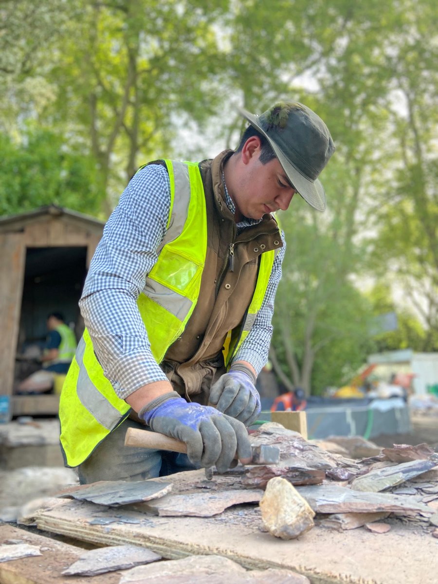 Rewilding Britain tweet media