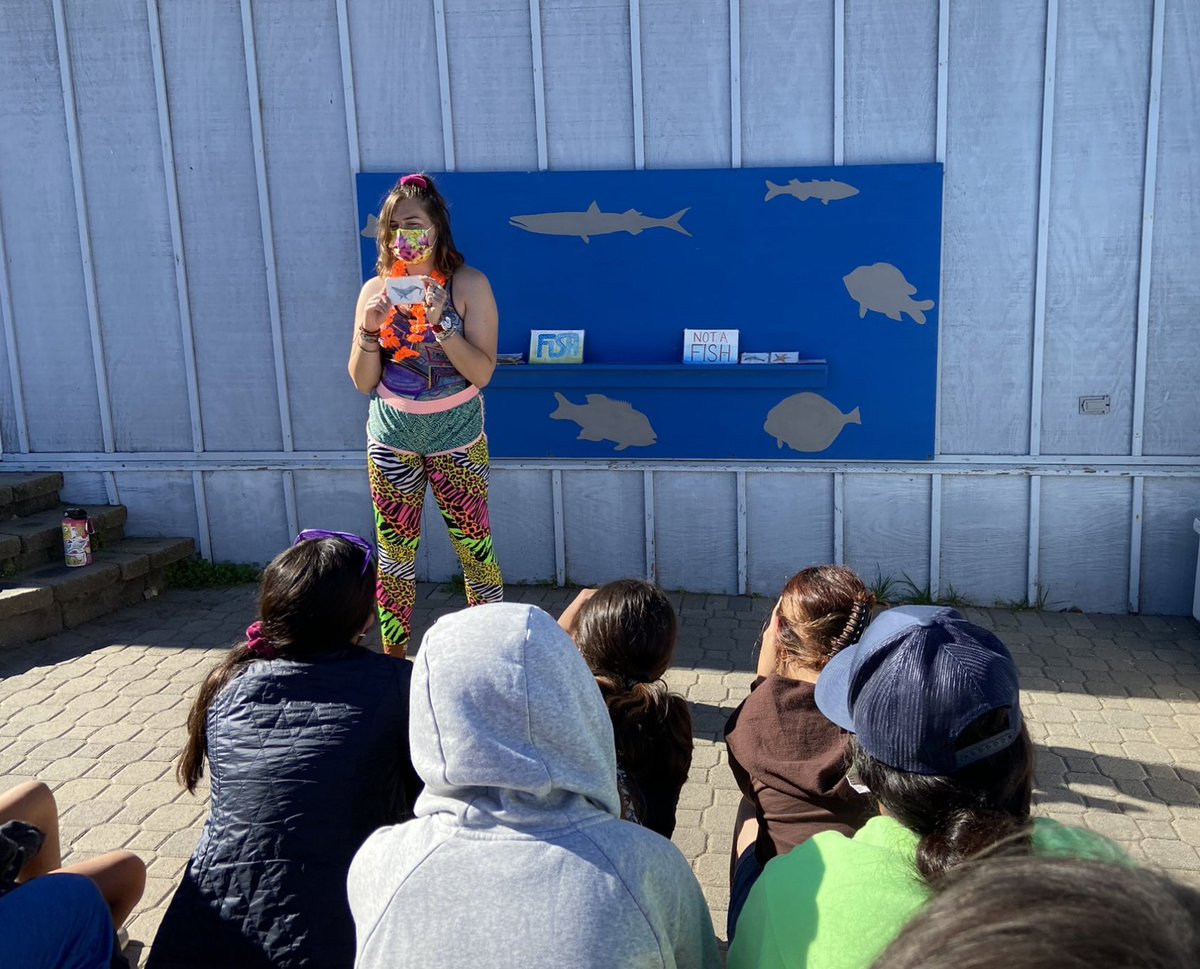CIMI_Science's tweet photo. Throwback to when Mesa Union School visited Toyon Bay! Thank you @matt_demaria for sharing this photo of shark lab! 🤓 🦈 🌊 🐠 #cimsicience #throwback #throwbackthursday #tbt #repost #sharklab #toyonbay #marinescience https://t.co/MtFAoe7bk3