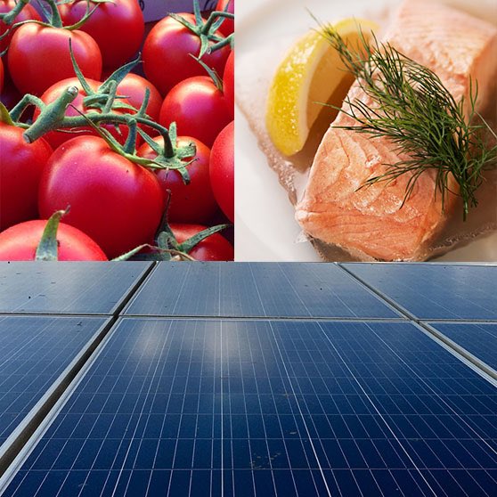 Pressmeddelande: Storskaligt projekt för att förse Sverige med klimatneutral lax och tomater planeras i Ankarsrum

vastervik.se/Kommun-och-pol…

#laxodling #tomatodling #solceller #Ankarsrum #Västervikskommun #Västervik #vvik