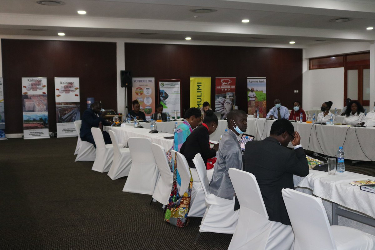 AGSZambia's tweet photo. This week, the AGS Programme recorded another 100% completion rate in its 2nd Cohort of its LEVEL UP Accelerator Programme (6 months of training, coaching & mentoring to boost company growth). 20 MSMEs successfully completed the training, run in partnership with AMSCO Zambia. https://t.co/nQUGDYIu8n