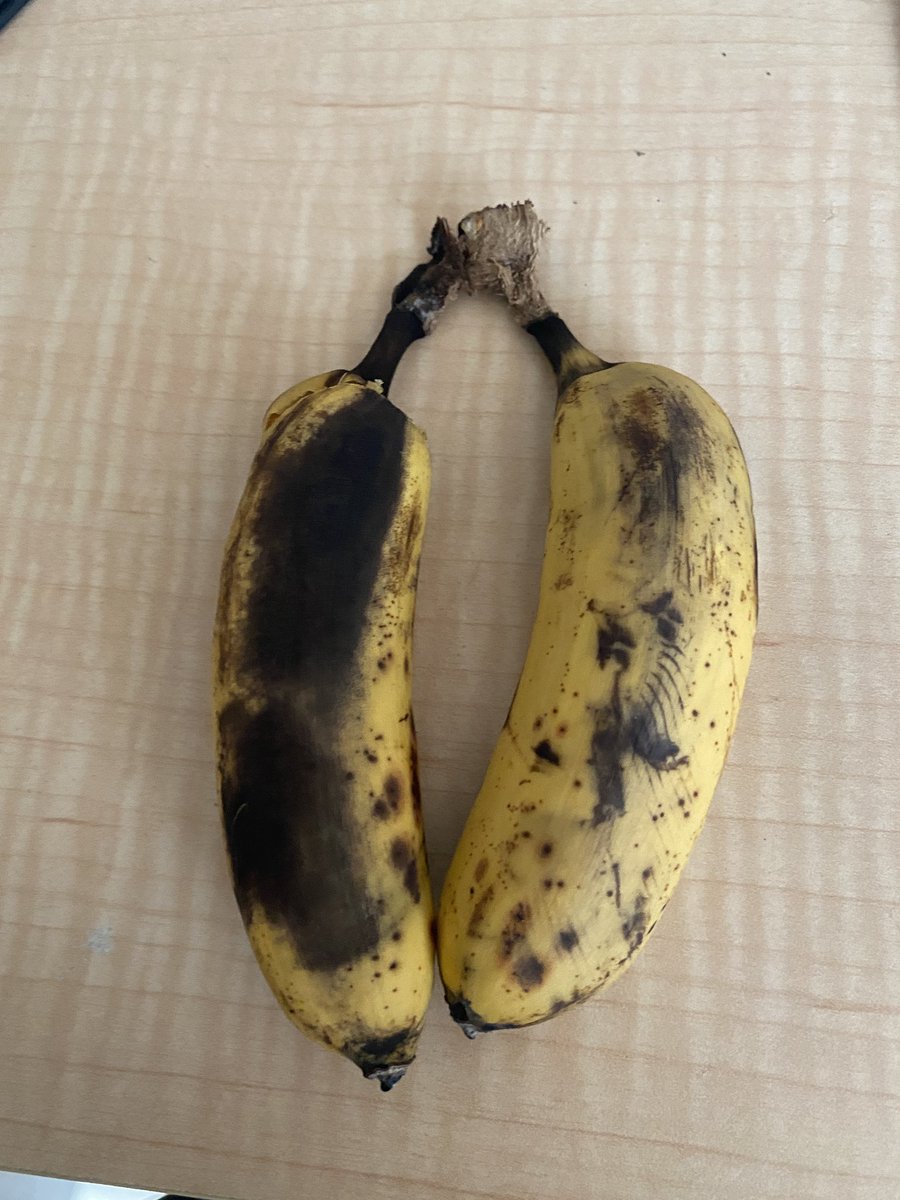 AnneSeniuk's tweet photo. Teaching by example! Showing the students that black bananas are still eatable and tasty,mmmmm! That makes a quick learning during snack time!
@KanataHighlands https://t.co/a0k0pjXBJx