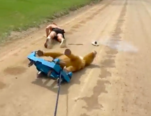 tooturnttony on Twitter: "picked up a new hobby. https://t.co