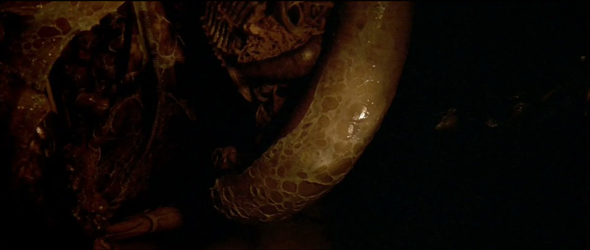 avpgalaxy's tweet photo. ADI also constructed an adolescent (or teenage) stage of Alien 3’s Runner. It was seen only very briefly in one shot in which the acid spitting ability was debuted. 1/2 #Alien3 #Alien330th #30DaysFor30Years #AmalgamatedDynamicsInc #PracticalEffects https://t.co/LatA9fSQkL
