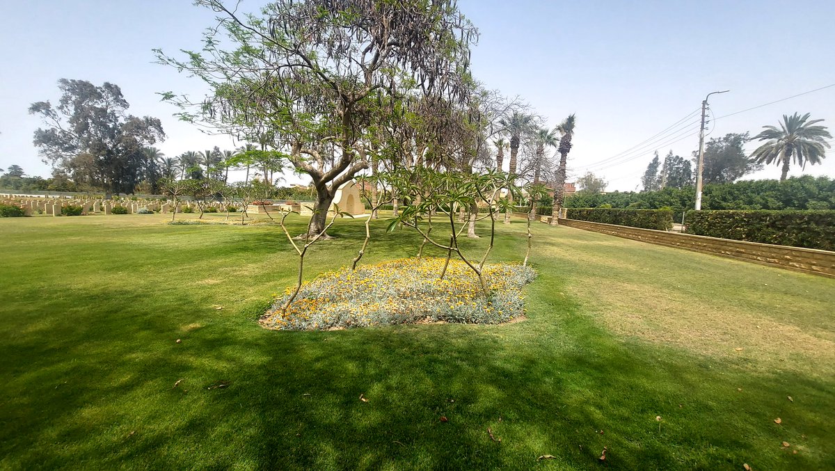 baghdady_rashed's tweet photo. The technical manger visited Fayid war  cemetery  today and recalled  memories during his work in Egypt from a long time, expressing his admiration for the excellent standards for the cemetery, and his thanks to the  team @CWGC @georgeelia5 @RodCarkett @AAPAComms @MamdouhWahed3 https://t.co/K6xzxwXocU