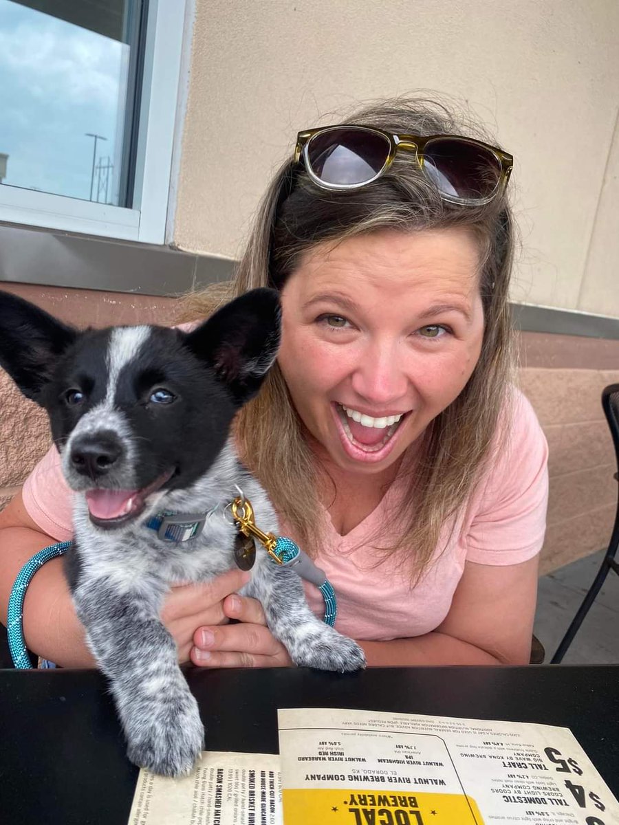 0xFynlee's tweet photo. I got to have my friend over last weekend! Cali is a Cowgirl Corgi! And she has way more energy than I do! https://t.co/YE6ACXyPvn
