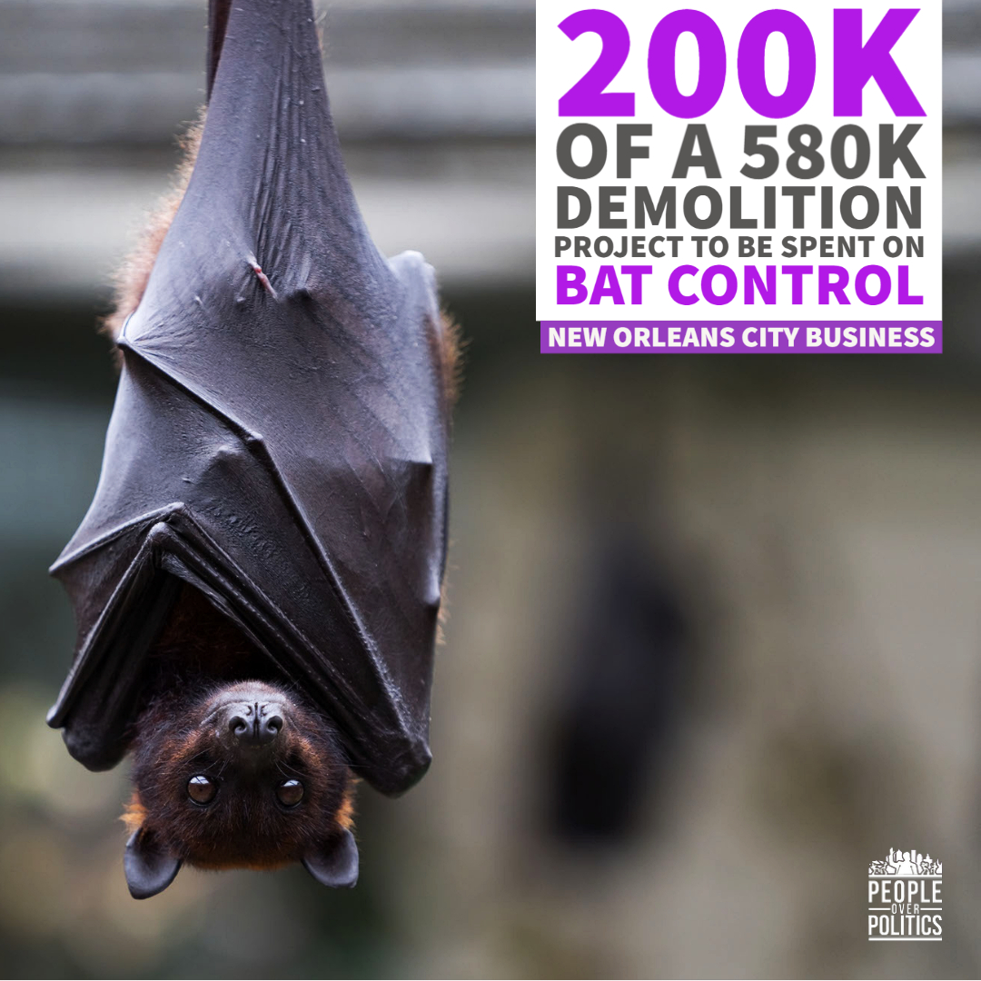 PeopleOverPoli1's tweet photo. The 36-year-old baseball stadium, Fair Grounds Field is to be demolished, with a 3rd of the 580,000 dollars to be spent on Bat Control!🦇😲

See the FULL DETAILS from New Orleans CityBusiness here 👉 https://t.co/8x5QE5kt3p

#nolanews #poppac #peopleoverpolitics https://t.co/96L5g64nRy