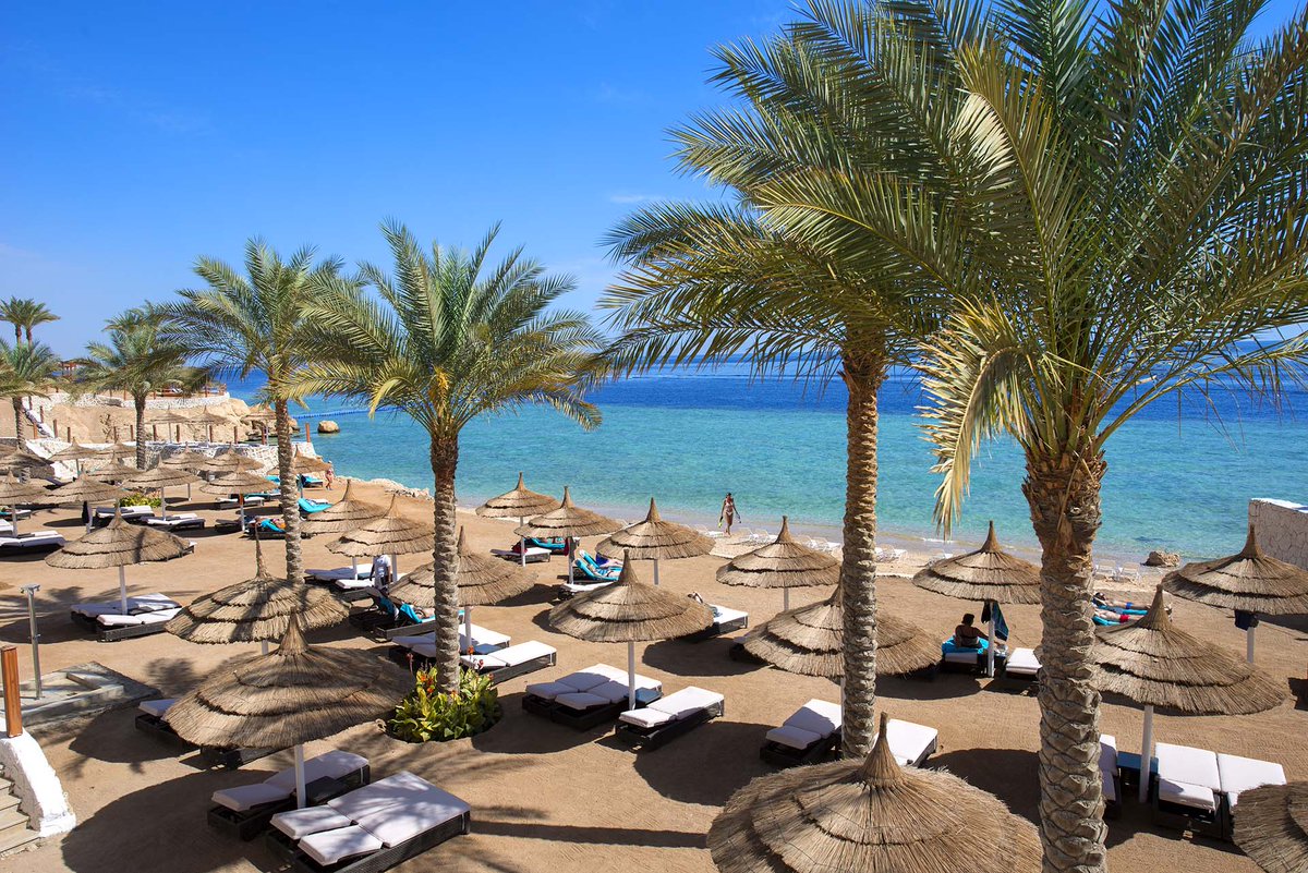 SRMontemare's tweet photo. Those who wander by the beach are never lost.

#SUNRISEResortsAndCruises #SUNRISEMontemareResort #RedSea #SharmElSheikh #ThisIsEgypt #Egypt #Vacation #Travel https://t.co/gnvyunPfwo