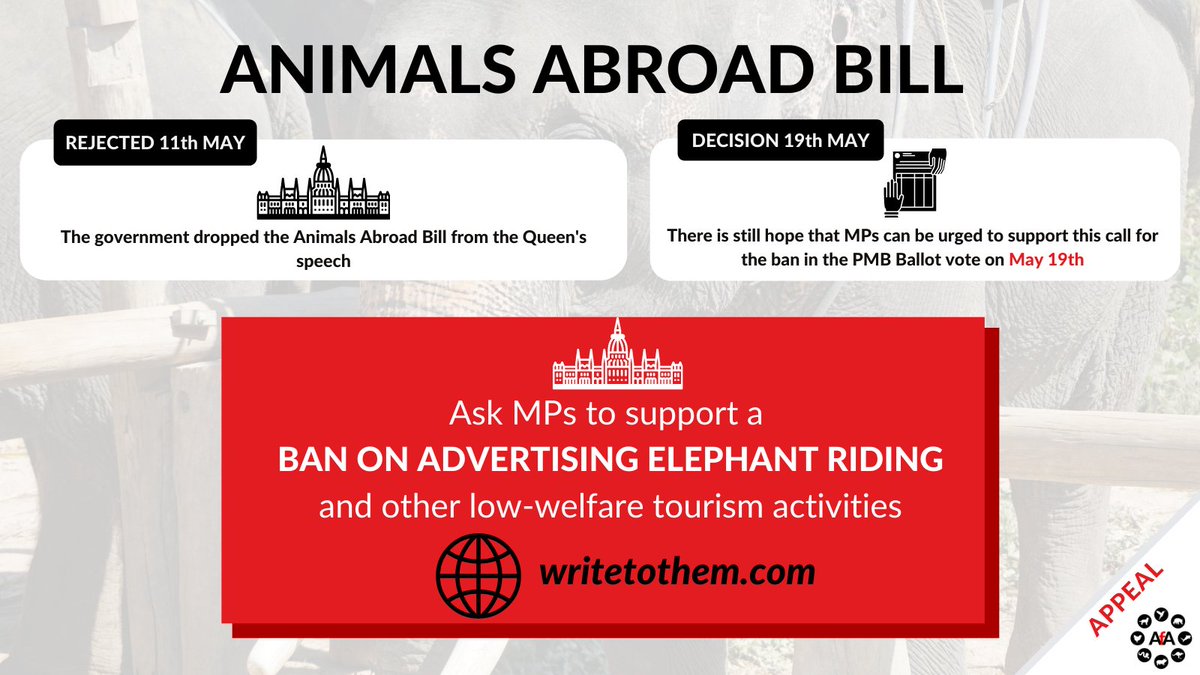 1/2 AfA Coalition sent an appeal with 206 signatures to Parliament after the Animals Abroad Bills was dropped from the Queen’s speech on May 11th. However, there is still some hope, as on May 19th, MPs will be voting in the PMB Ballot #AnimalsAbroadBill #QueensSpeech