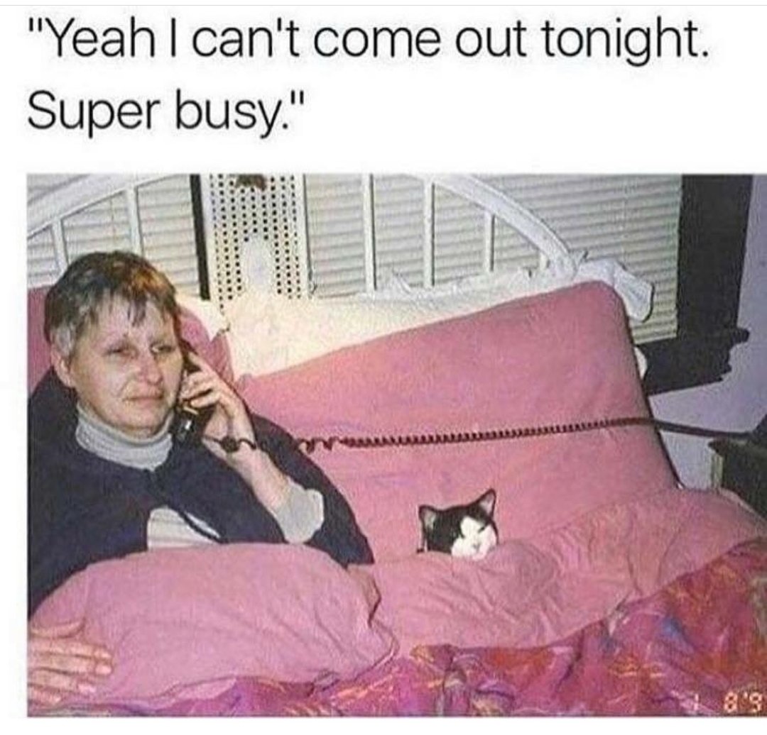 GM to all the Cat Lovers in our community. Great things are about to come . 👋🌈🤗💛 #NFTCommunity #NFTProjects #NFTCreators #cryptoart