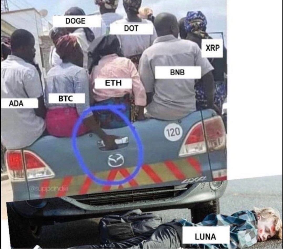 romercc__'s tweet image. No sean malos 😂

#cripto #humorcripto