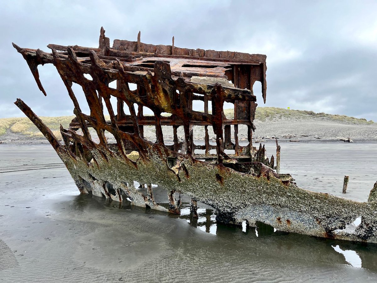 JasonKechely's tweet photo. 'Dem Bones...
#PeterIredale #FortStevens #OregonCoast https://t.co/QLKBFqwwES