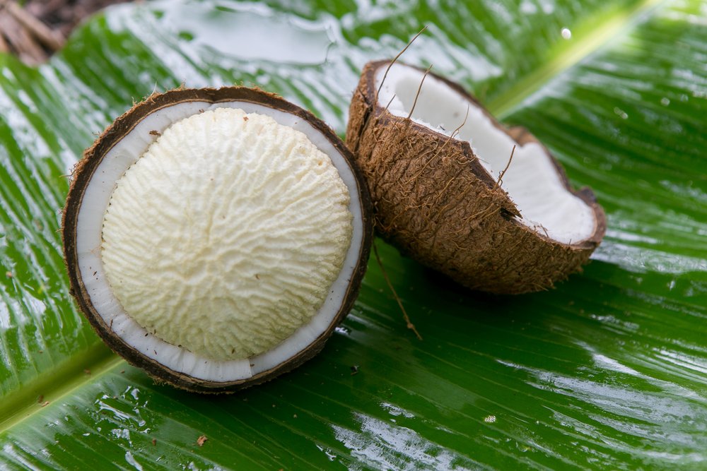 KeralaTourism's tweet photo. If you discovered this in a coconut today, would you still think Friday the 13th is an unlucky day?  

#Pongu #FridayThe13th #KeralaTourism https://t.co/drfwrAswoR