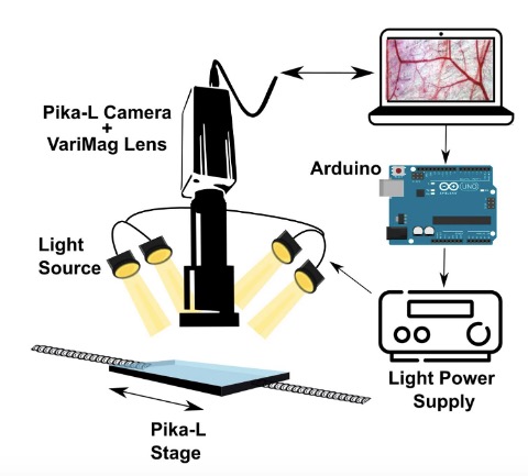 ajpheartcirc's tweet photo. #ArticlesInPress: Hyperspectral Wide-Field-Of-View Imaging to Study Dynamic #Microcirculatory Changes During Hypoxia
Alfredo Lucas, Carlos Jose Munoz, and Pedro Cabrales
https://t.co/My9pNhdWkP
@PennMedicine
#HyperspectralImaging #spectroscopy #microscopy https://t.co/rBLMqvWIOQ