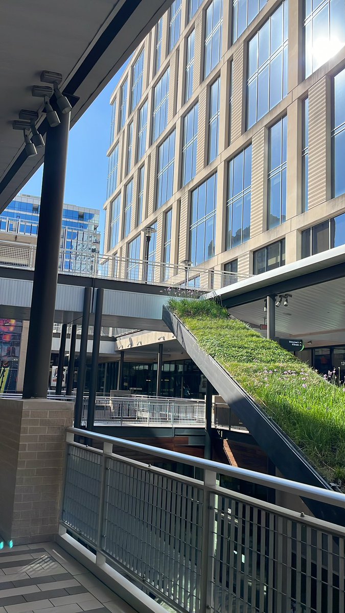 Top of the morning #getmoney