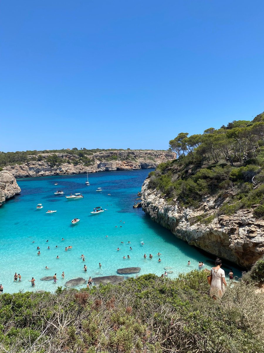TotsBalears tweet media