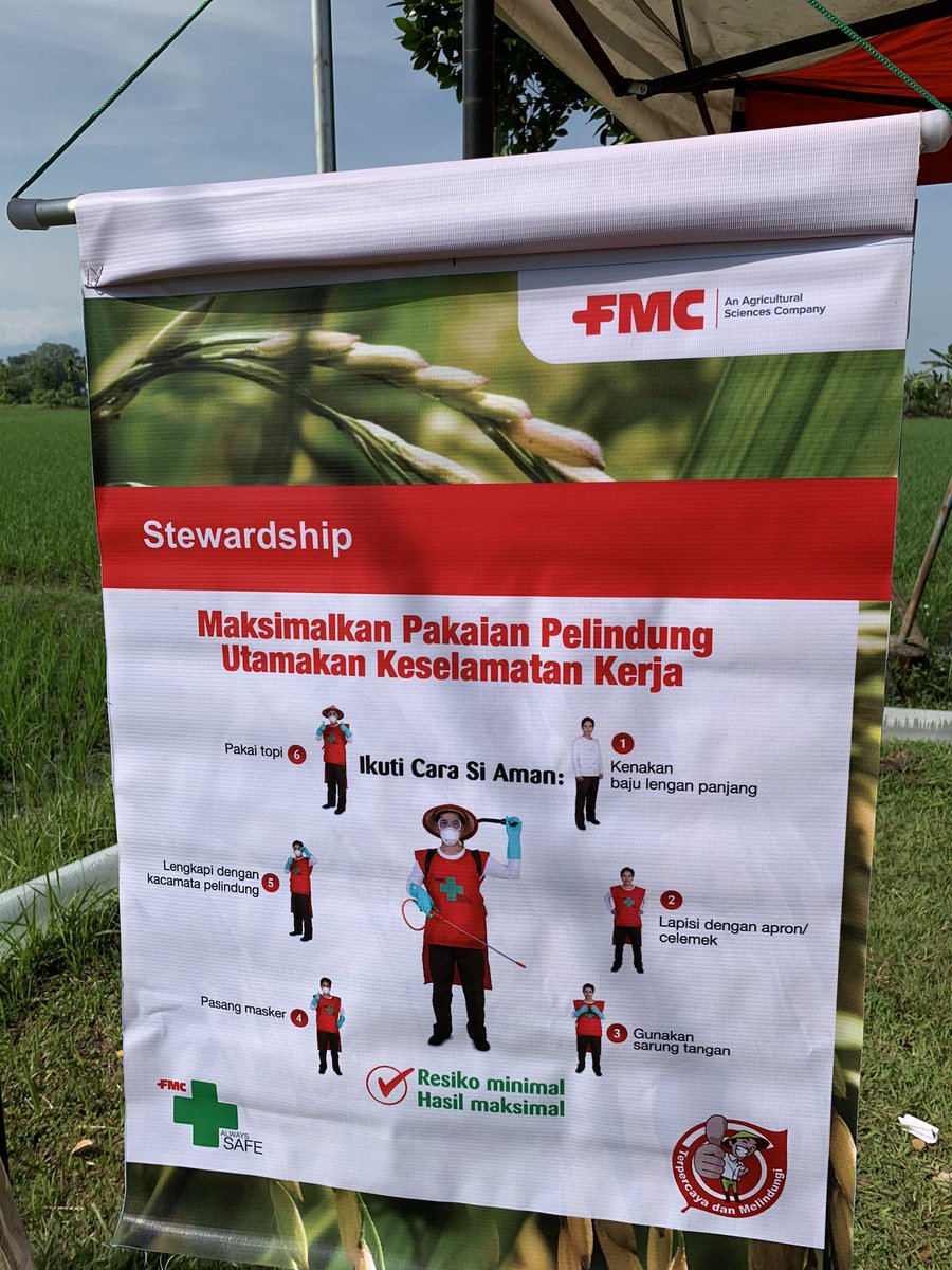 Kristin11704390's tweet photo. No matter the farming system, taking the time for #stewardship is essential for sustainable success of any farmer.  Our FMC Indonesian team is making a remarkable difference to thousands of farmers to improve their productivity, every day.  @fmcapac @Saurin2344 #rice https://t.co/TciTdcZdJE