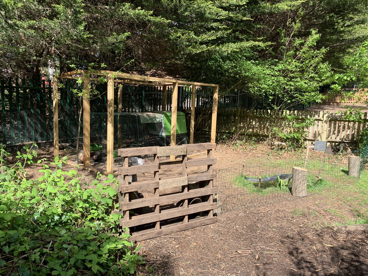 DanesfieldFS's tweet photo. Awesome pig cleaning from Y3 today and a lot of love for our new chicken pen so our feathered friends have more space to roam 🐓 #chickenfun @DanesfieldY3 @DanesfieldSchl https://t.co/NdFG99gzM8
