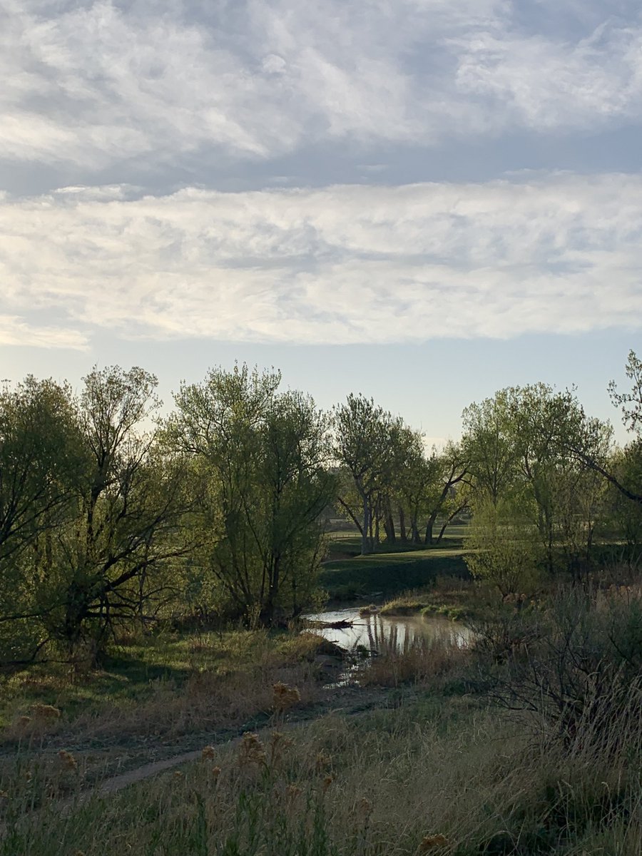 rmnft's tweet photo. What I noticed on my morning walk-green grass, leafy trees, burbling creek, blue sky, fluffy clouds, and beautiful flowers.
#naturetherapy #foresttherapy #forestbathing https://t.co/czerZNicQG