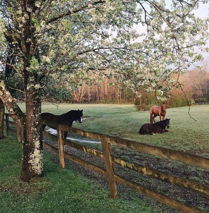 ℛ (@whosvirgomoodb) on Twitter photo 